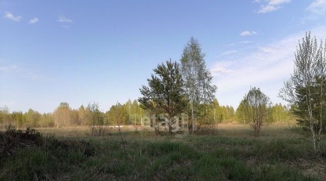 земля с Тюнево Тюневское сельское поселение фото