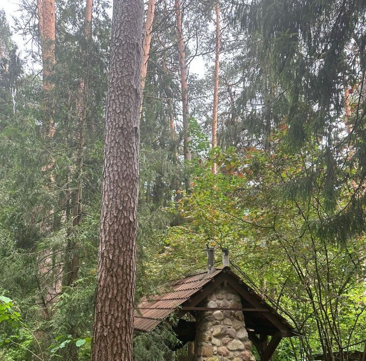 дом городской округ Истра д Жевнево тер ДСК Мастера искусств дп, Нахабино фото 10