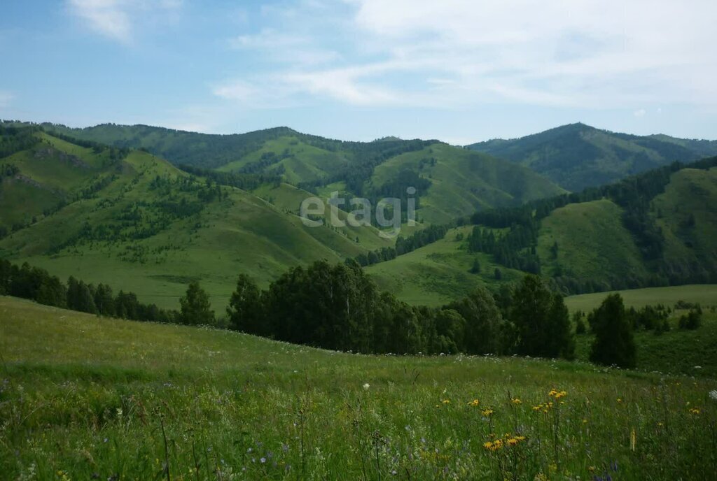 земля р-н Солонешенский фото 4