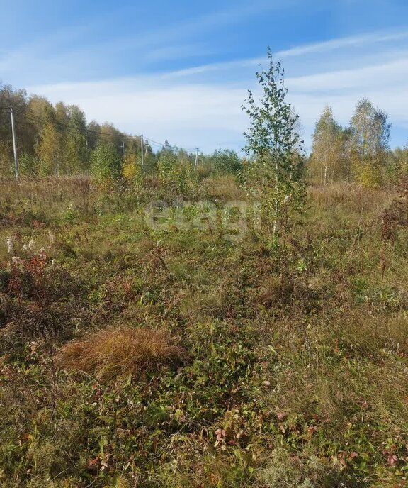 земля р-н Ишимский п Плодопитомник ул Васильковая фото 2