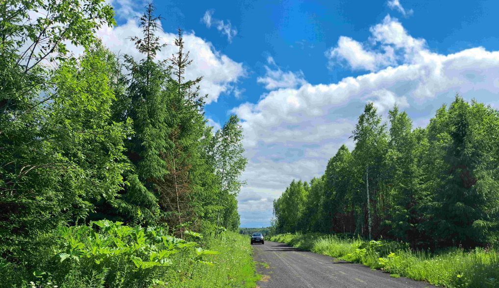 земля городской округ Сергиево-Посадский Яркое кп, 351 фото 8