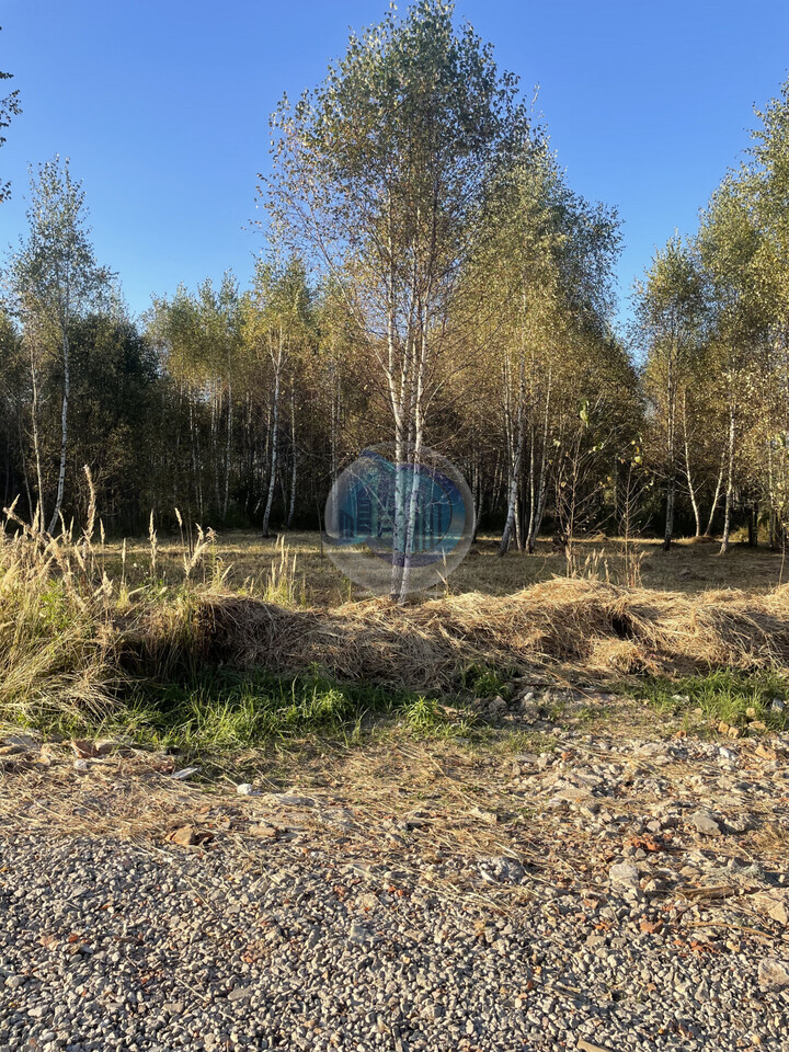 земля городской округ Раменский с Юсупово Домодедовский фото 5