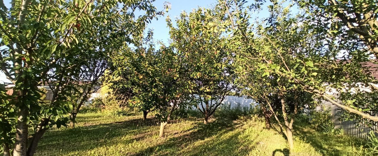 дом р-н Белгородский п Дубовое р-н мкр Северный ул Центральная Северный фото 2