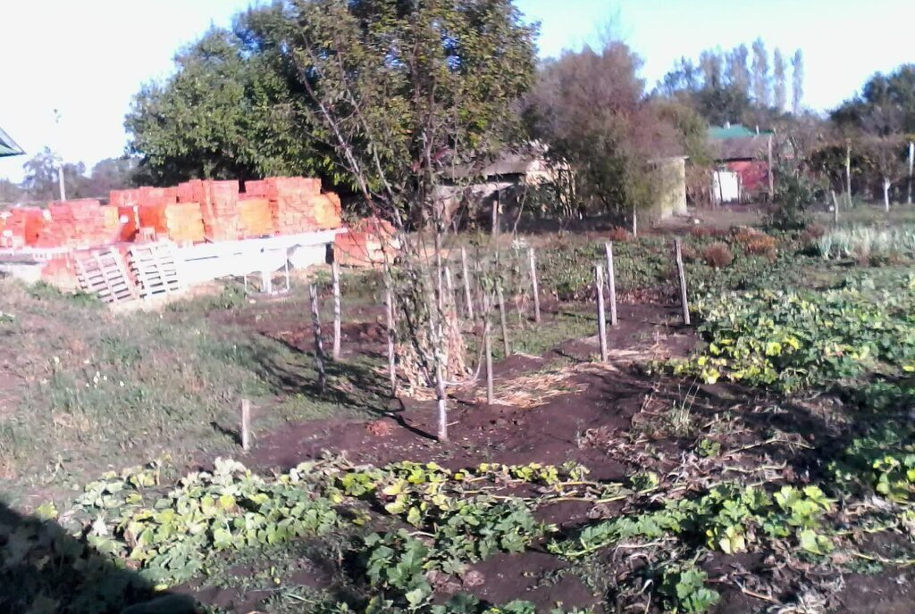 дом р-н Теучежский х Городской Джиджихабльское сельское поселение фото 7