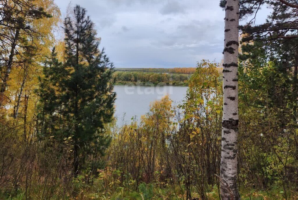 дом р-н Томский село Половинка Базанаково фото 2