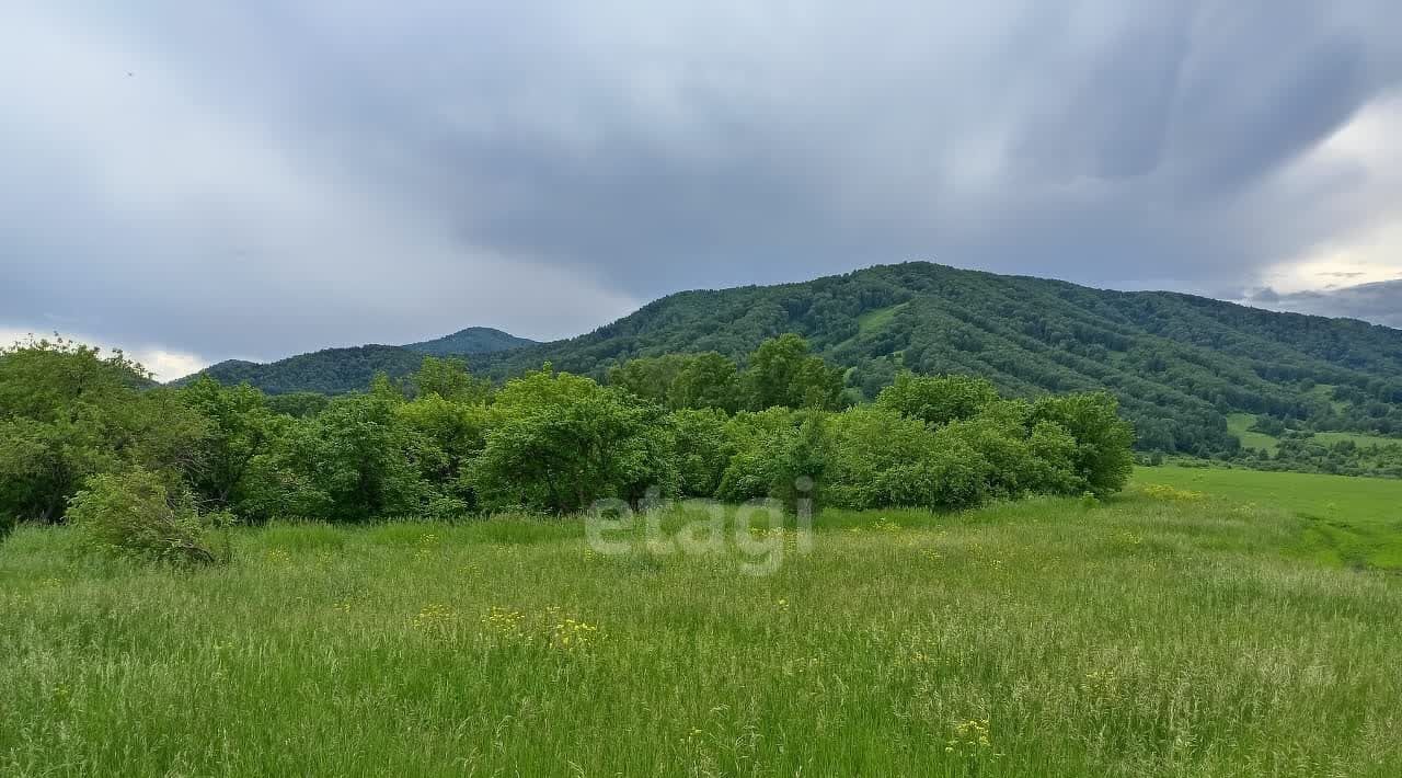 земля г Бийск фото 1