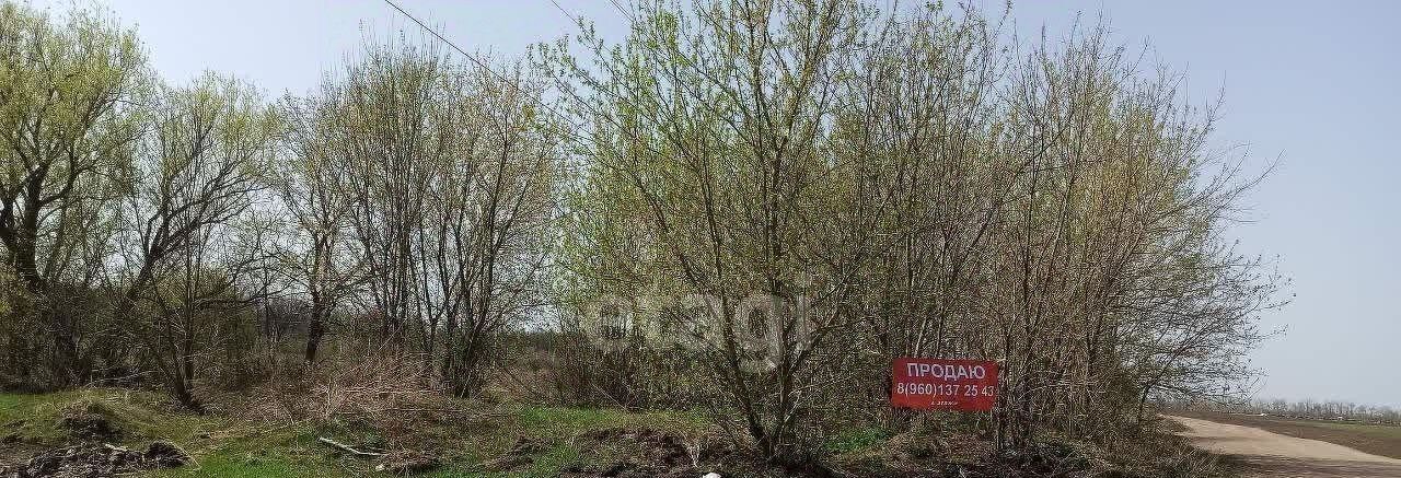 земля р-н Рамонский с Айдарово ул Победы фото 1