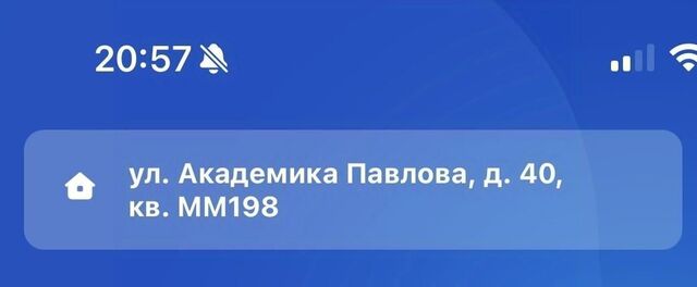 метро Молодежная ул Академика Павлова 40 фото