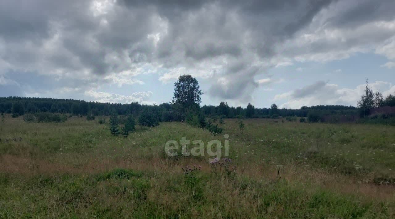 земля р-н Пригородный п Висим ул Пролетарская фото 2