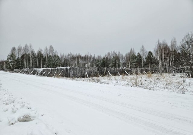 ул Дальняя 2 Зубово-Полянское городское поселение фото