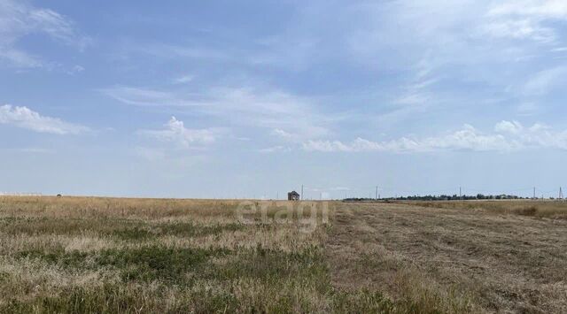 снт Нептун Батальненское с/пос фото