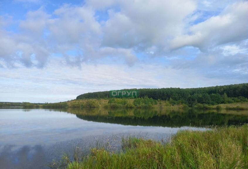 земля р-н Городищенский г Городище фото 3