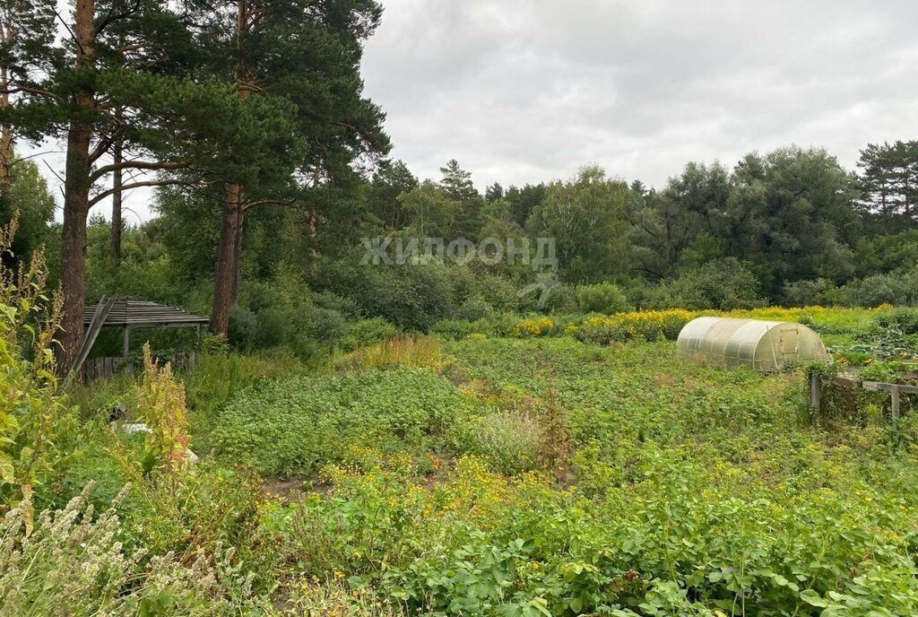 дом р-н Новосибирский п Ломовская Дача Кубовинский сельсовет, Заельцовская фото 4