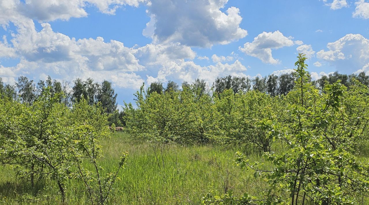 офис городской округ Луховицы с Григорьевское ул Новая фото 1