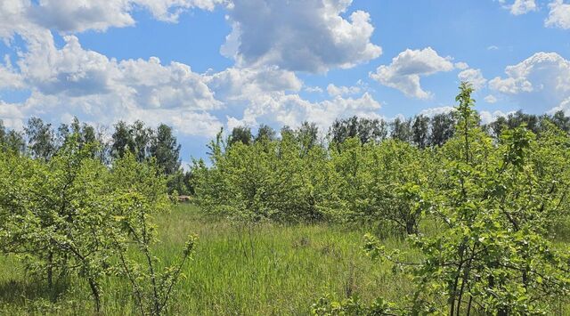 с Григорьевское ул Новая фото