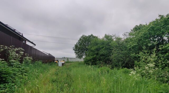 городской округ Ленинский д Мамоново фото