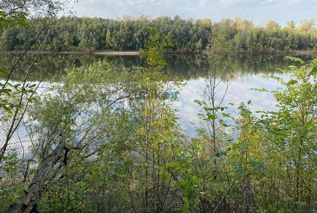 снт тер.Утренняя заря фото