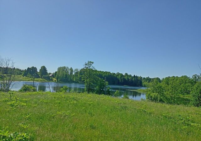 д Забелье Бологое фото