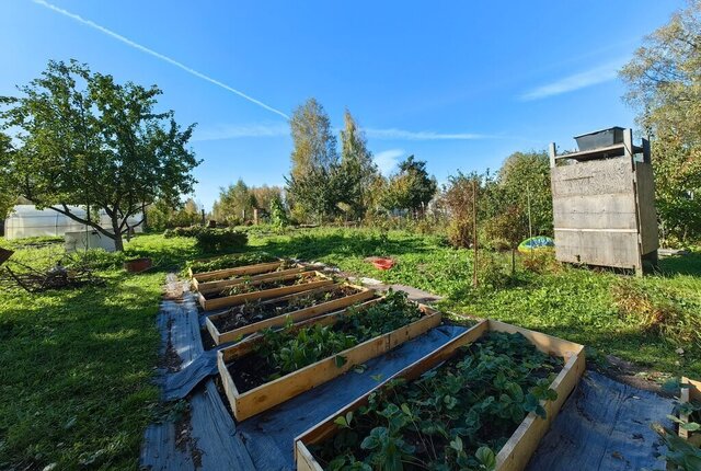 р-н Курчатовский фото