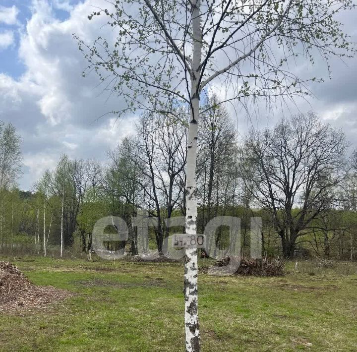 земля р-н Заокский с Покровское Малаховское муниципальное образование, 79 фото 2