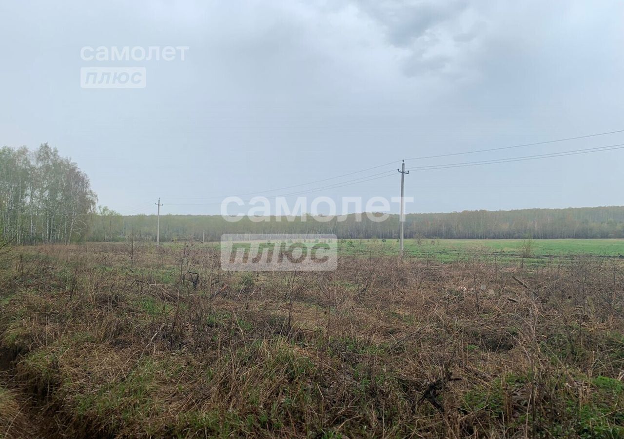 дом р-н Сосновский п Саргазы ул Мичурина Саргазинское сельское поселение, Челябинск фото 9