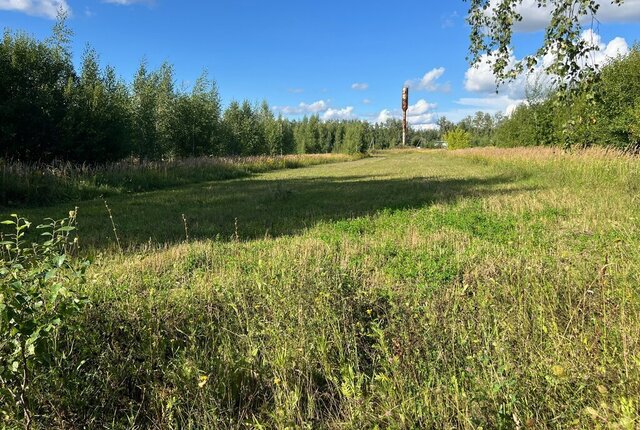 Турлатовское сельское поселение, СНТ Пригородное фото