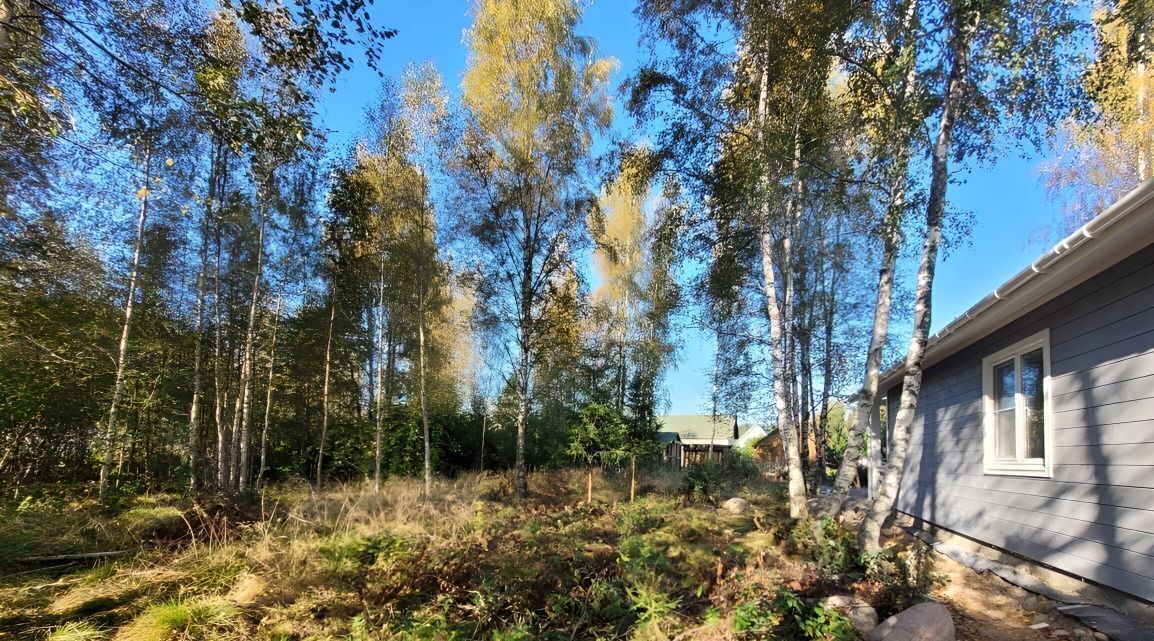 дом р-н Выборгский Советское городское поселение, 119, Эрудит СНТ фото 6