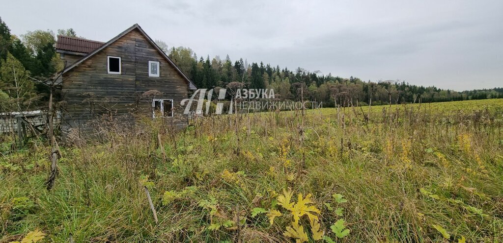 земля городской округ Пушкинский д Хлопенево фото 4