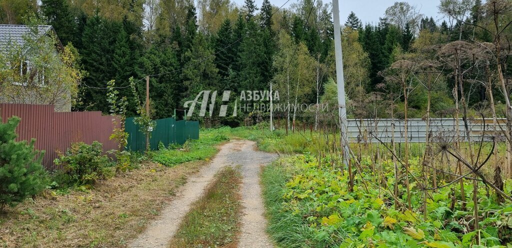 земля городской округ Пушкинский д Хлопенево фото 7