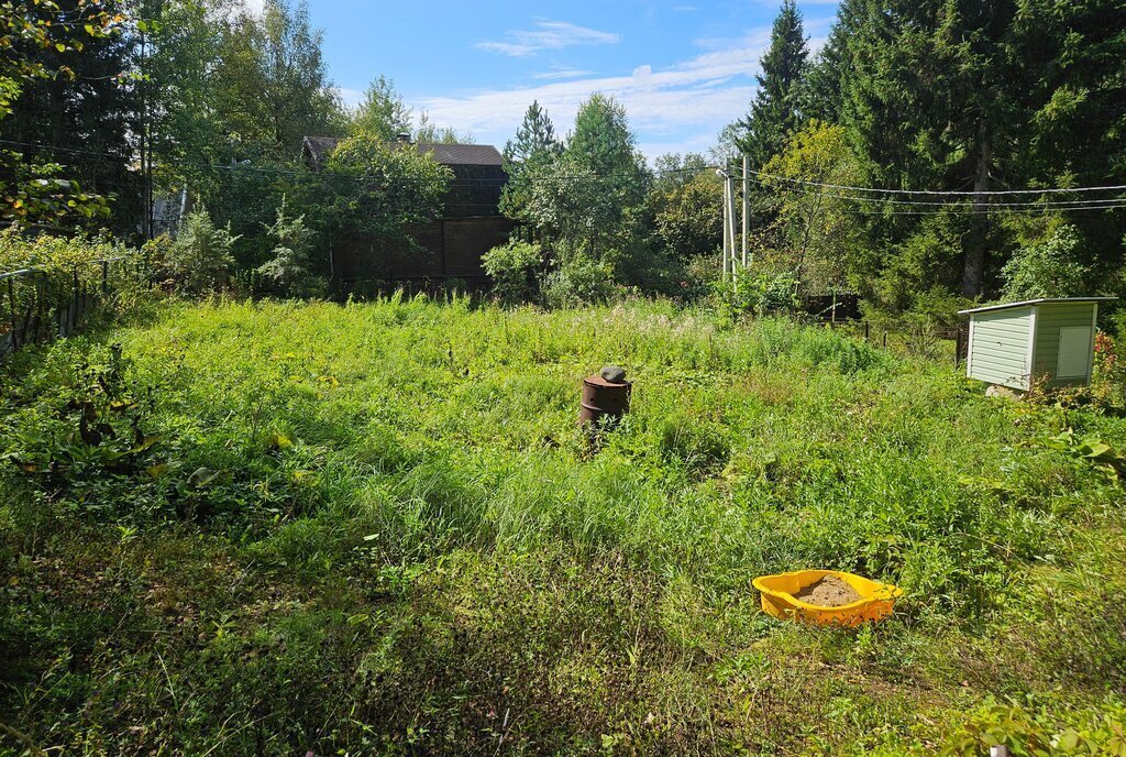 дом городской округ Сергиево-Посадский д Голыгино снт Здоровье 25 фото 21