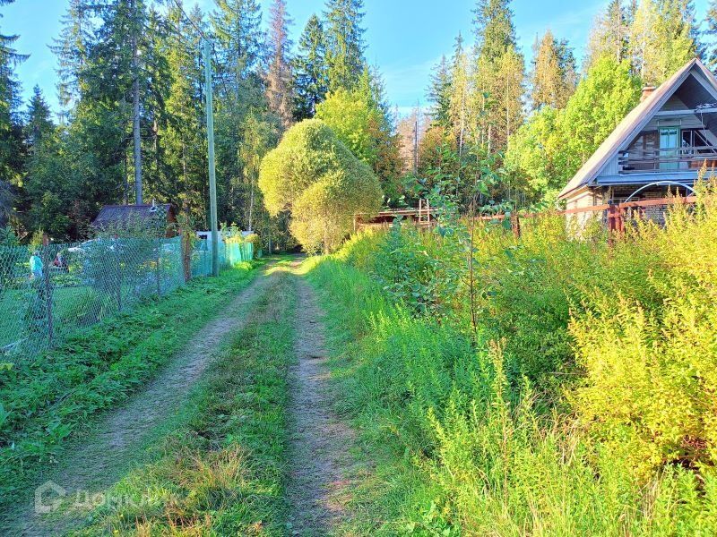 земля р-н Выборгский фото 1