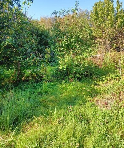 городской округ Солнечногорск д Ложки снт Ложки Зеленоград — Крюково, 1А фото