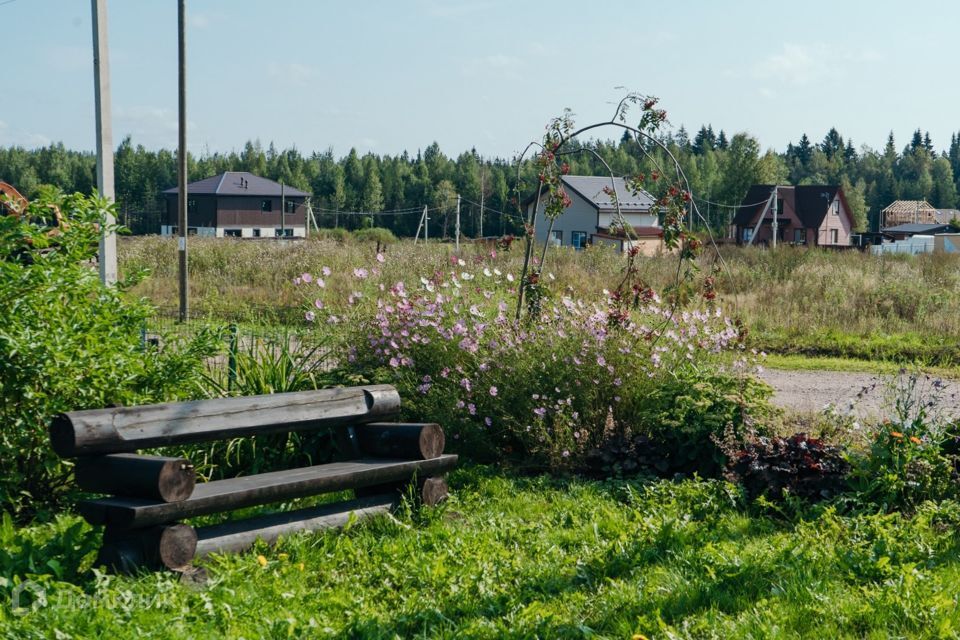 земля р-н Выборгский фото 7