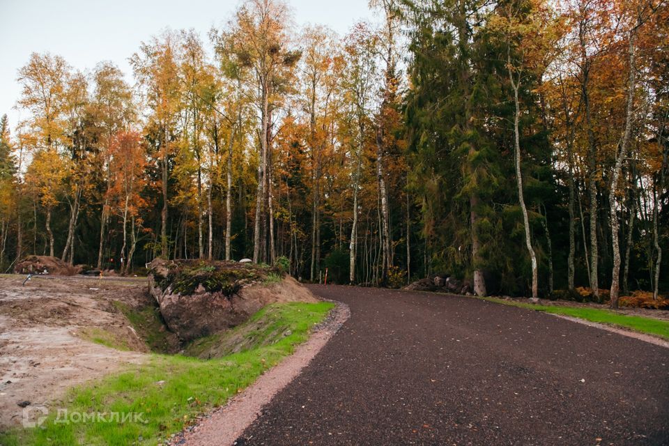 земля р-н Выборгский фото 7