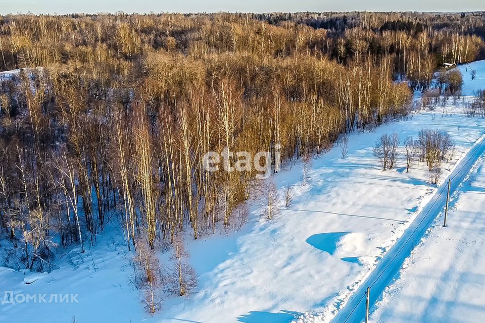 земля р-н Всеволожский фото 5