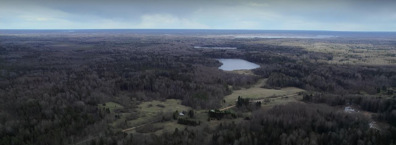 земля р-н Осташковский г Осташков д Свапуще фото 40