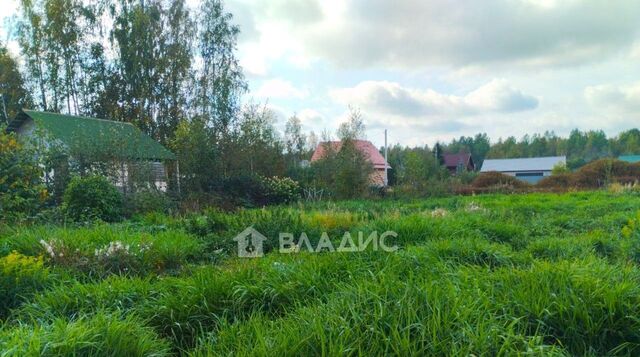 земля Рахьинское городское поселение, На Ладоге кп, просп. 2-й Озерный фото