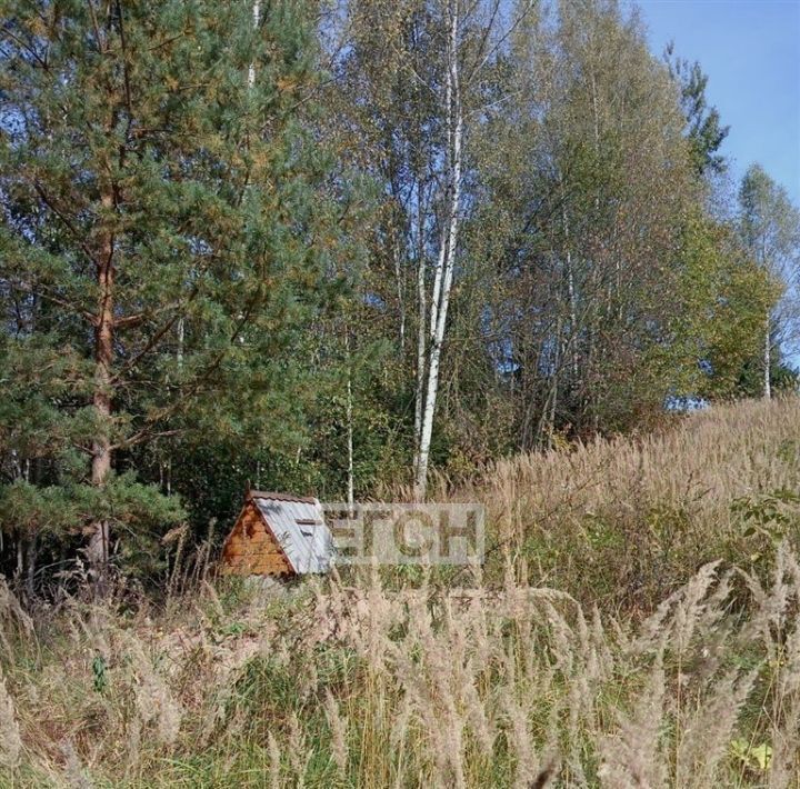 земля городской округ Мытищи д Аббакумово садоводческое товарищество, Физтех, 23, Дубки фото 5