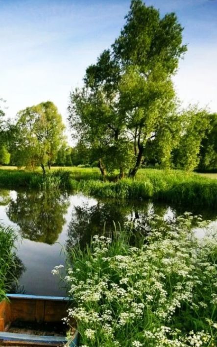 земля городской округ Дмитровский д Базарово ул Рябиновая фото 29