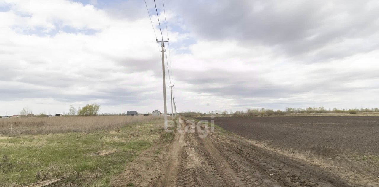 земля р-н Тюменский тер ДНТ Воскресенье 1 фото 28