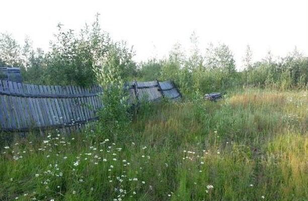 земля садово огородное товарищество Огородник -3, Тюменская обл. фото