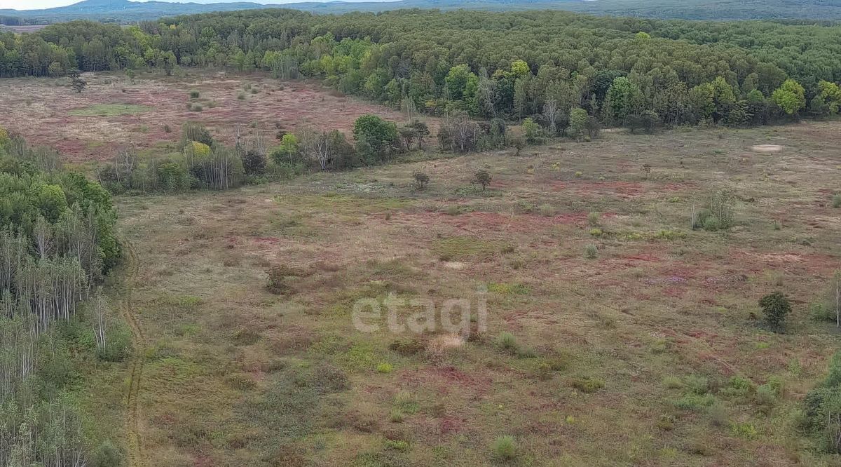 земля р-н Хабаровский с Корсаково-2 фото 13