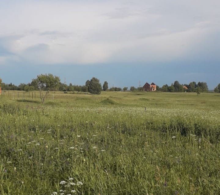 земля г Ленинск-Кузнецкий ул Лазаревская Ленинск-Кузнецкий городской округ фото 3