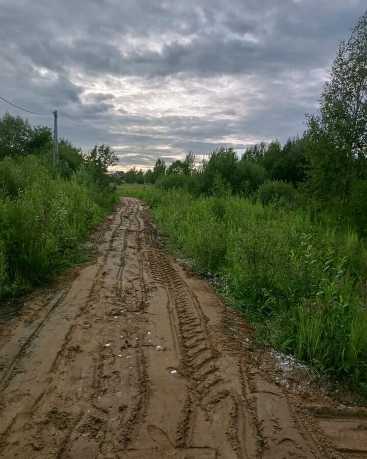 земля городской округ Богородский д Следово ул Ильинская 43а 9774 км, Ногинск, Щёлковское шоссе фото 8