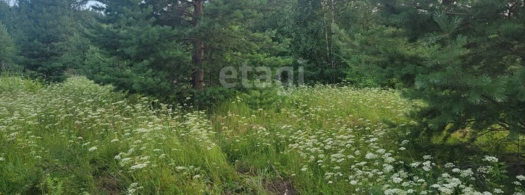 земля г Нижний Тагил ул Отрадная фото 9