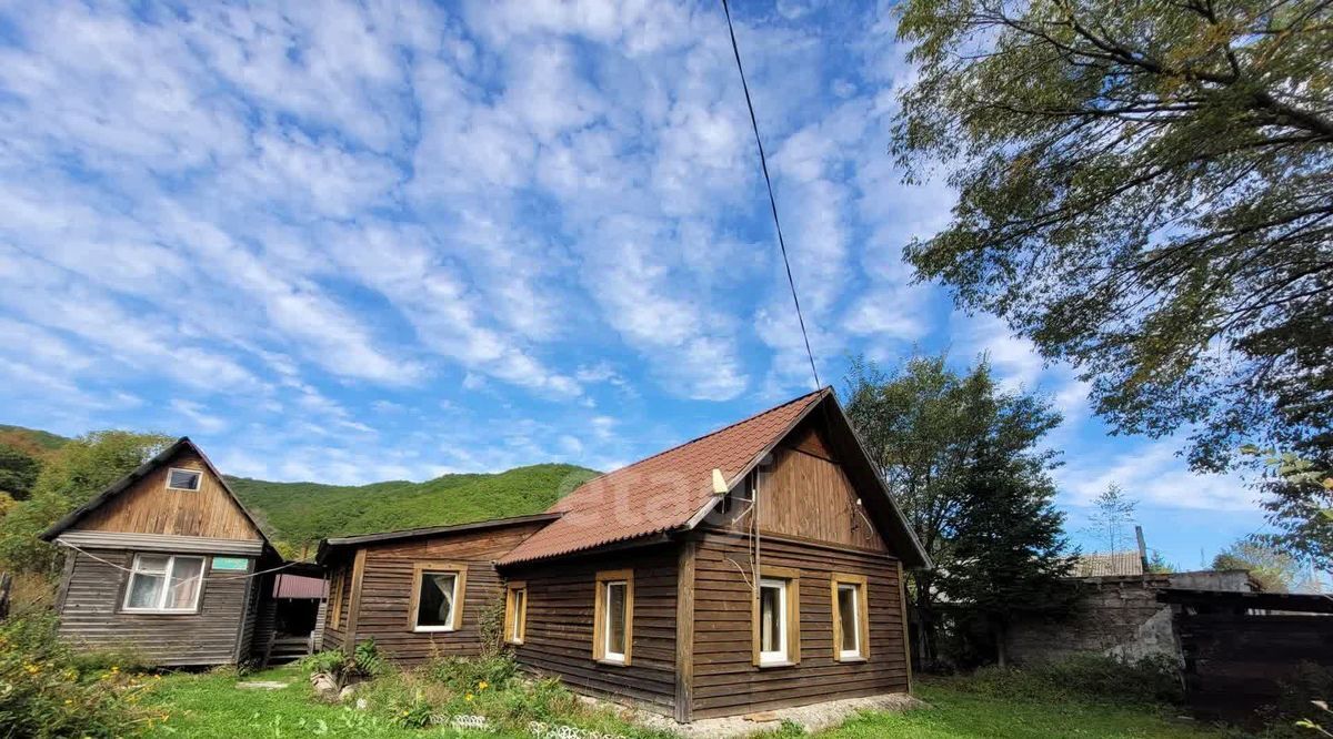 дом р-н Анучинский п Тигровый ул. Тигровая, Партизанский городской округ фото 1