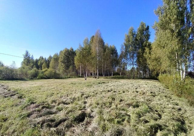 Заволжское сельское поселение, некоммерческое партнёрство Шиголость, Ярославский р-н фото