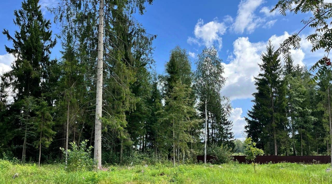 земля городской округ Рузский Эмеральд Вилладж кп, ул. Львиное Сердце фото 4