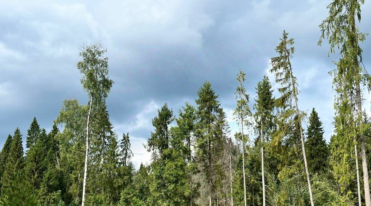 земля городской округ Рузский Эмеральд Вилладж кп, ул. Львиное Сердце фото 6