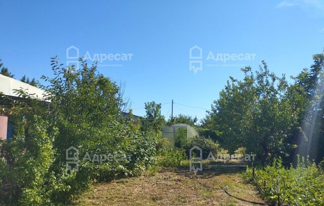 сад СНТ Цветущий ул Ореховая Сад фото